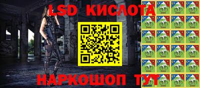 СК Сланцы