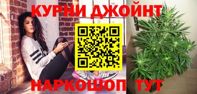 СК Сланцы