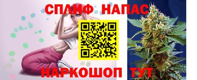 винт Славгород