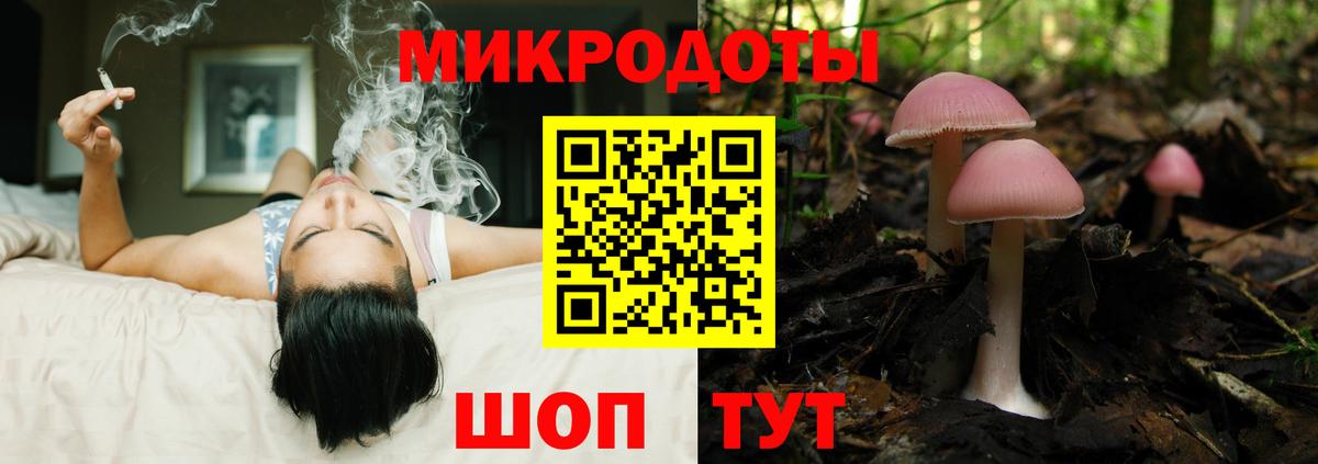 Галлюциногенные грибы прущие грибы Тольятти